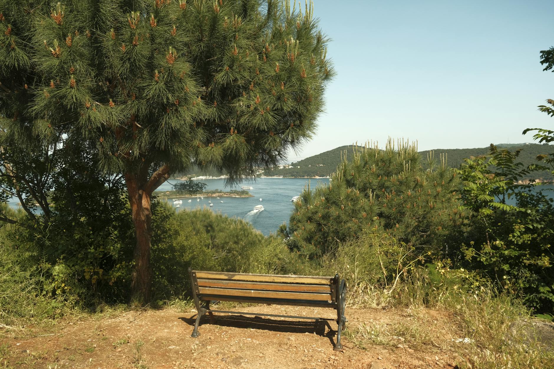 부르가자다 숲길 산책과 소설가 사이트 파익의 흔적을 따라가는 당일치기 경로