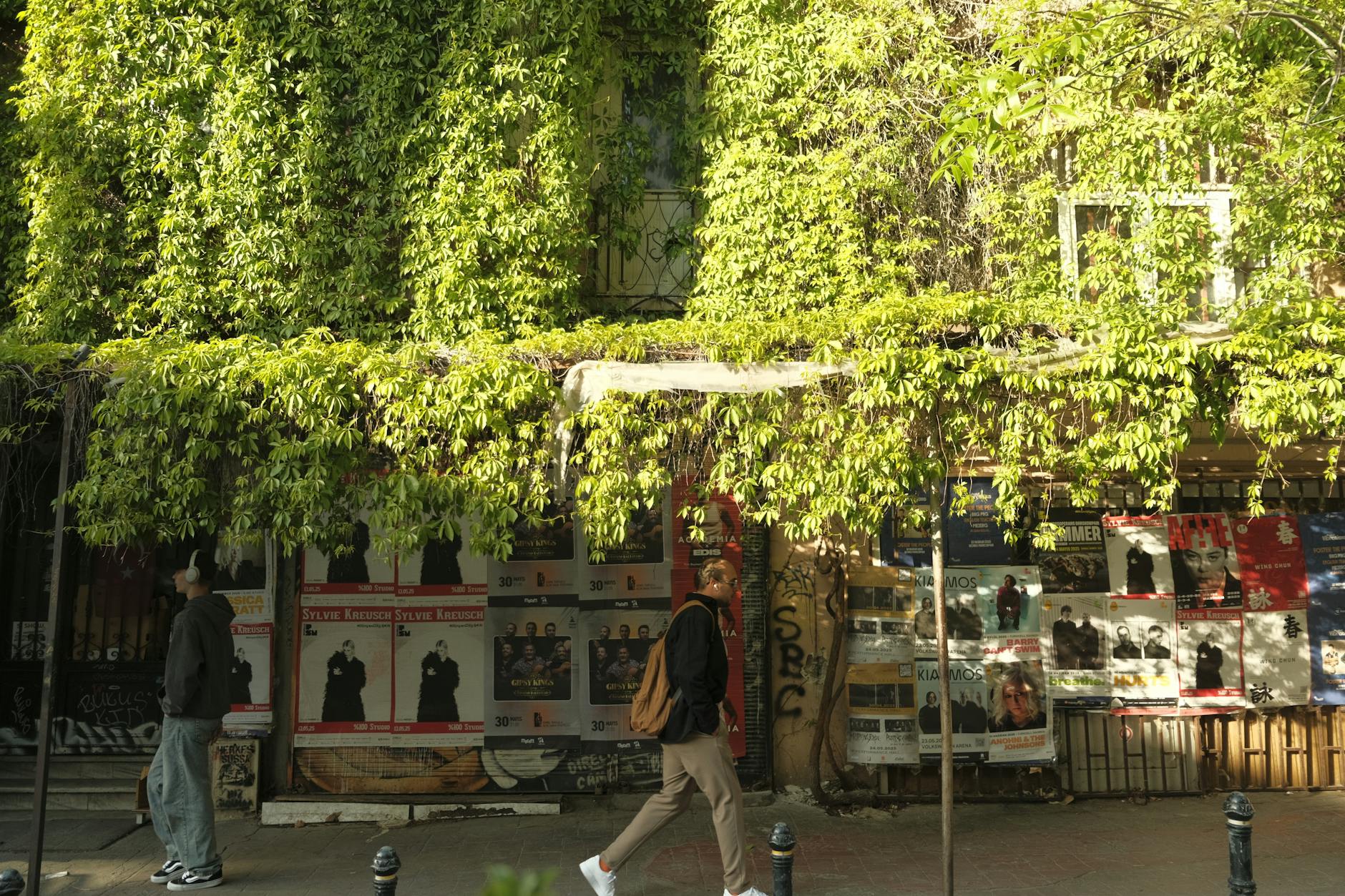 담쟁이덩굴과 다양한 예술 공연 포스터가 가득한 지한기르의 건물 외벽.